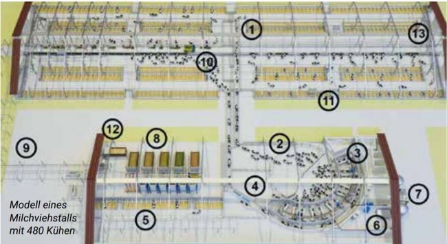 Aufbau eines Milchviehstalls, näheres siehe folgender Fließtext