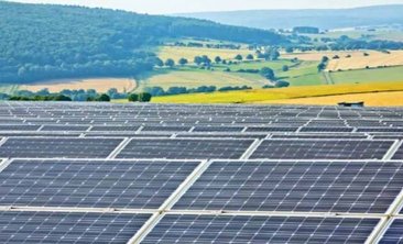 Zahlreiche Solaranlagen auf einem Feld, im Hintergrund weitere Felder